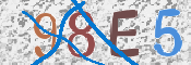 画像に表示された文字を入力して下さい