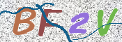 画像に表示された文字を入力して下さい