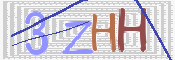 画像に表示された文字を入力して下さい