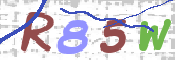 画像に表示された文字を入力して下さい