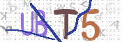画像に表示された文字を入力して下さい