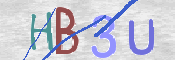 画像に表示された文字を入力して下さい