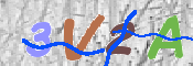 画像に表示された文字を入力して下さい