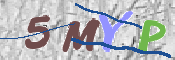 画像に表示された文字を入力して下さい
