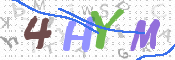 画像に表示された文字を入力して下さい