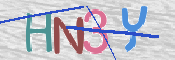 画像に表示された文字を入力して下さい