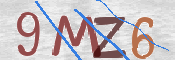 画像に表示された文字を入力して下さい