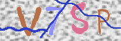 画像に表示された文字を入力して下さい