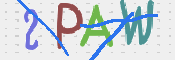 画像に表示された文字を入力して下さい