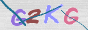 画像に表示された文字を入力して下さい