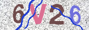 画像に表示された文字を入力して下さい