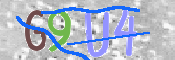 画像に表示された文字を入力して下さい