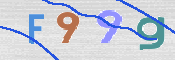 画像に表示された文字を入力して下さい