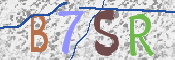 画像に表示された文字を入力して下さい