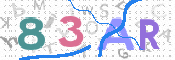 画像に表示された文字を入力して下さい