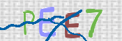 画像に表示された文字を入力して下さい