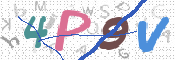 画像に表示された文字を入力して下さい
