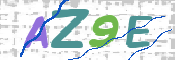 画像に表示された文字を入力して下さい