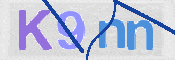 画像に表示された文字を入力して下さい