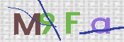 画像に表示された文字を入力して下さい