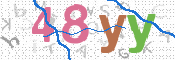画像に表示された文字を入力して下さい