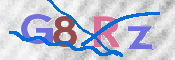 画像に表示された文字を入力して下さい