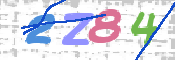 画像に表示された文字を入力して下さい
