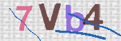 画像に表示された文字を入力して下さい