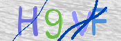 画像に表示された文字を入力して下さい