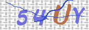 画像に表示された文字を入力して下さい