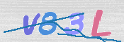 画像に表示された文字を入力して下さい