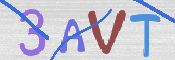 画像に表示された文字を入力して下さい