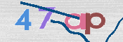 画像に表示された文字を入力して下さい