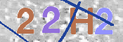画像に表示された文字を入力して下さい