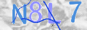 画像に表示された文字を入力して下さい