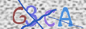 画像に表示された文字を入力して下さい