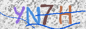 画像に表示された文字を入力して下さい