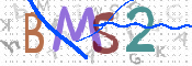 画像に表示された文字を入力して下さい