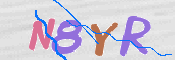 画像に表示された文字を入力して下さい