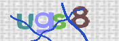 画像に表示された文字を入力して下さい