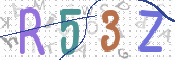 画像に表示された文字を入力して下さい