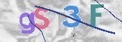 画像に表示された文字を入力して下さい