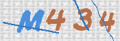 画像に表示された文字を入力して下さい