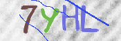 画像に表示された文字を入力して下さい