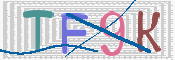 画像に表示された文字を入力して下さい