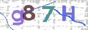 画像に表示された文字を入力して下さい