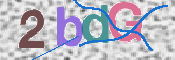 画像に表示された文字を入力して下さい