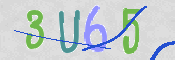 画像に表示された文字を入力して下さい