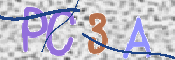 画像に表示された文字を入力して下さい