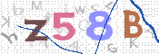 画像に表示された文字を入力して下さい